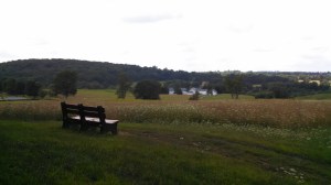 IMG_20140722_111248_723